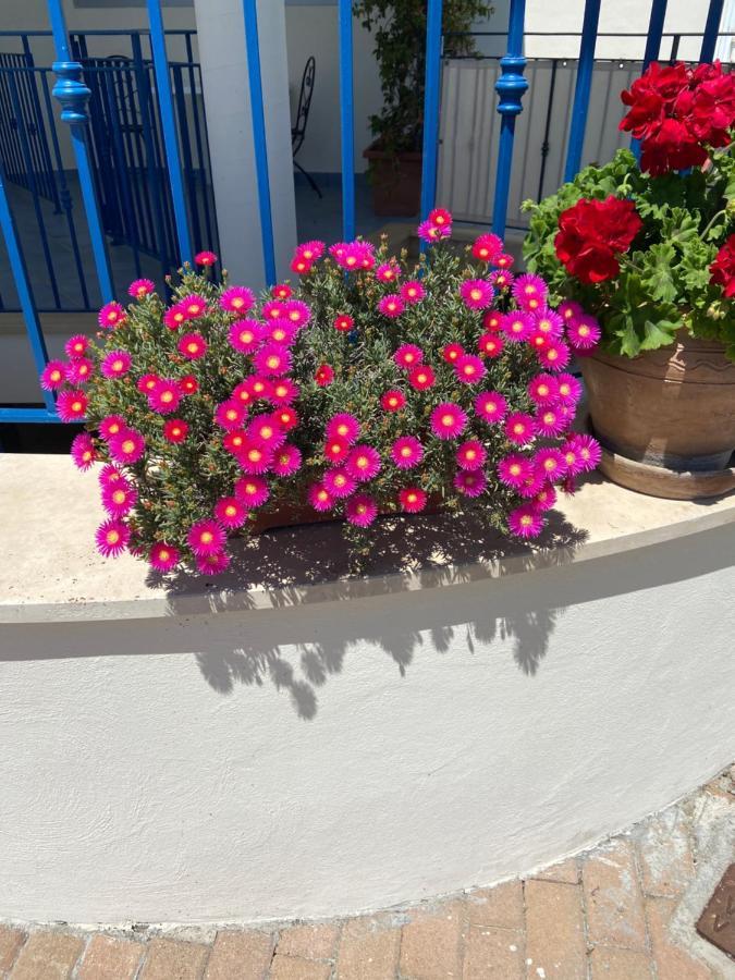 Residenza Le Spiagge Apartment Sperlonga Bagian luar foto