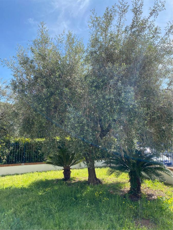 Residenza Le Spiagge Apartment Sperlonga Bagian luar foto